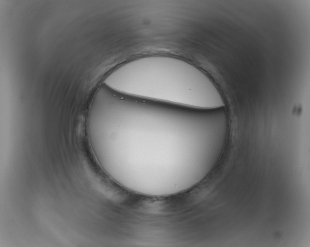 X0000111170071200907011018