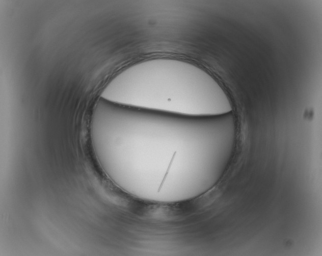 X0000111170074200907011018