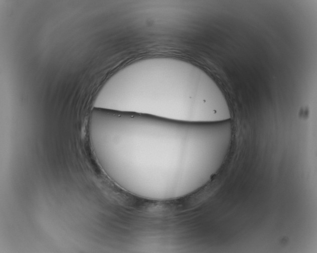 X0000111170075200907011018