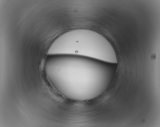 X0000111170076200907011018