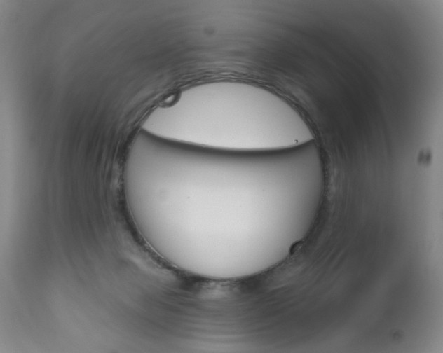 X0000111170077200907011018