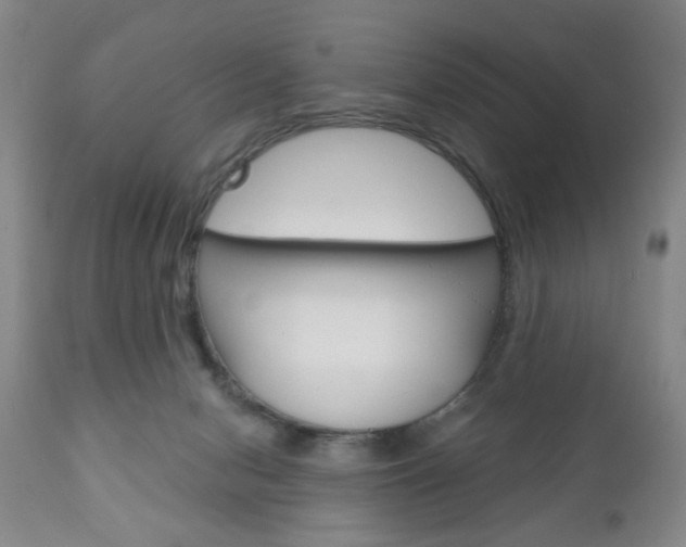 X0000111170078200907011018