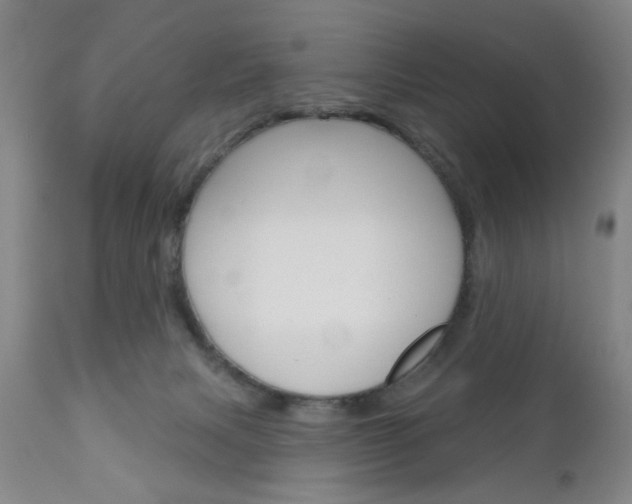 X0000111170079200907011018