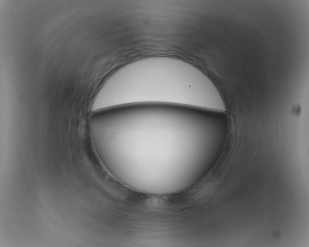 X0000111170080200907011018