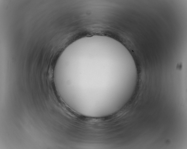 X0000111170081200907011018