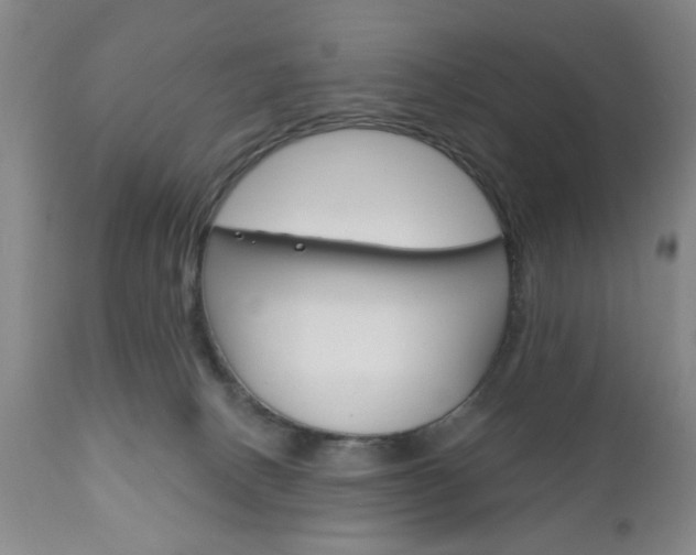 X0000111170082200907011018