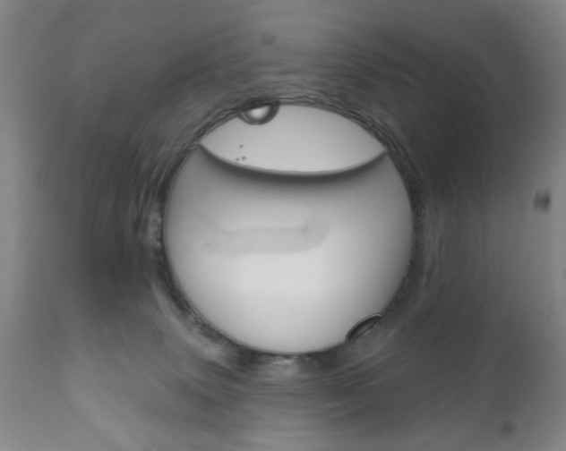 X0000111170083200907011018