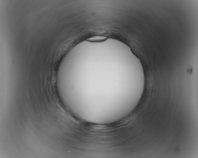 X0000111170085200907011018