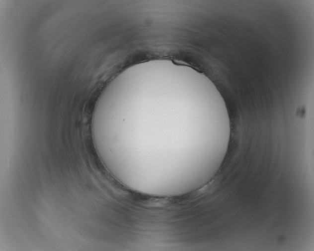 X0000111170086200907011018