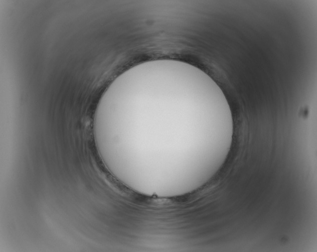 X0000111170087200907011018