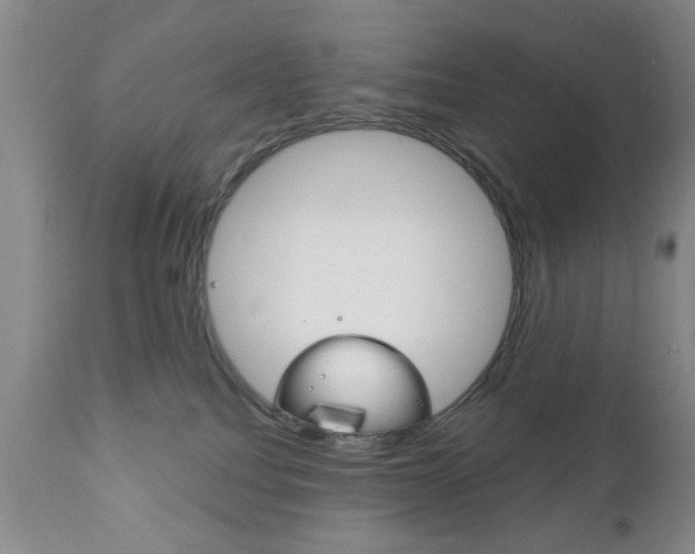 X0000111170088200907011018