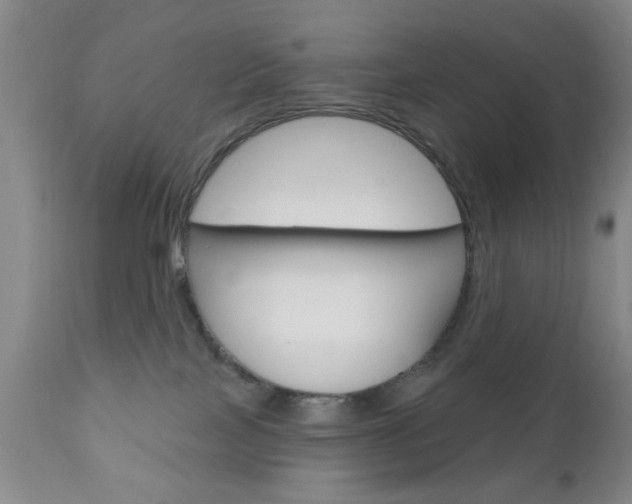 X0000111170089200907011018