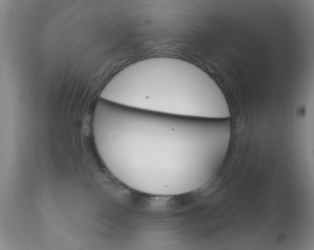 X0000111170090200907011018