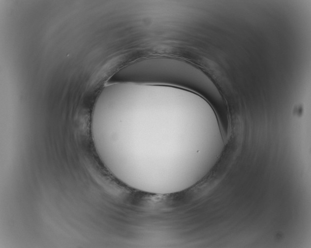 X0000111170092200907011018