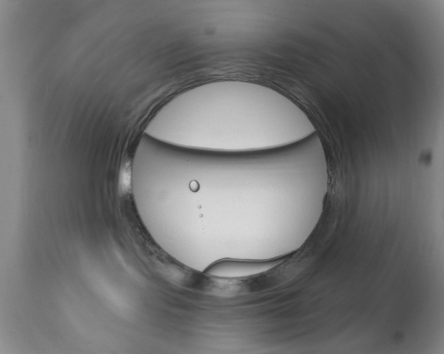 X0000111170095200907011019