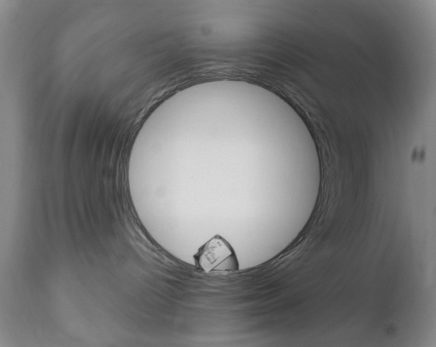 X0000111170096200907011019