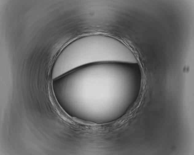 X0000111170097200907011018