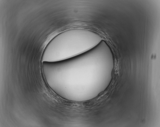 X0000111170099200907011018