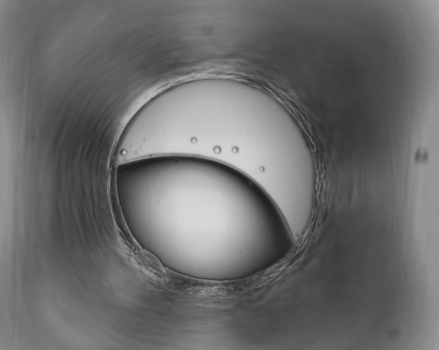 X0000111170100200907011018