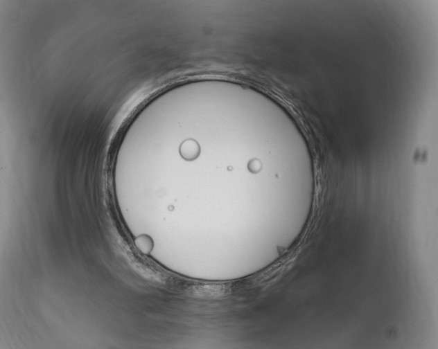 X0000111170102200907011018