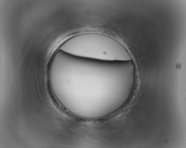 X0000111170103200907011018