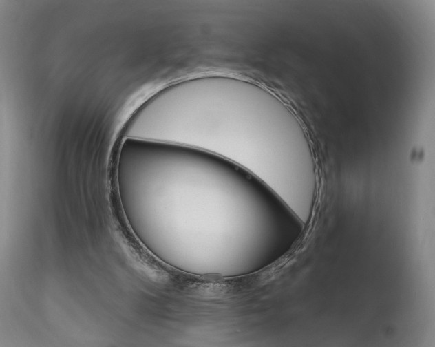 X0000111170104200907011018