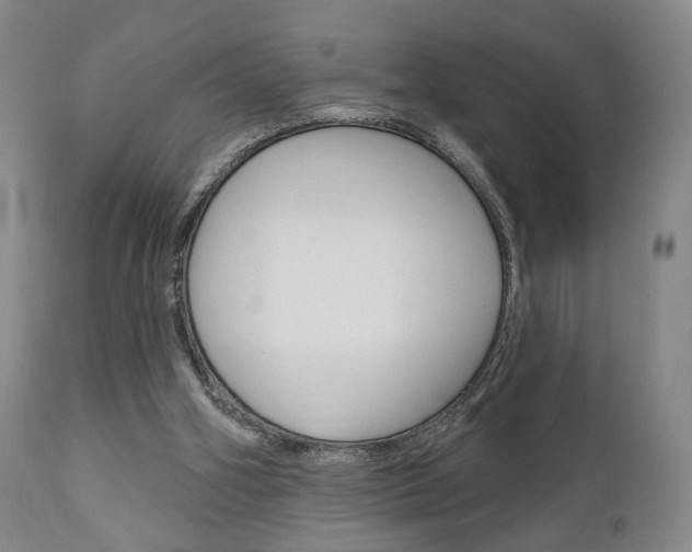 X0000111170106200907011018