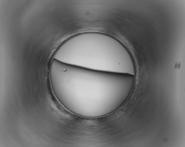 X0000111170107200907011018