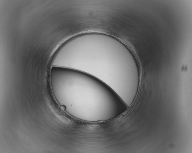 X0000111170108200907011018