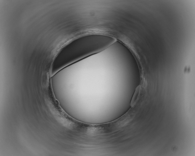 X0000111170109200907011018