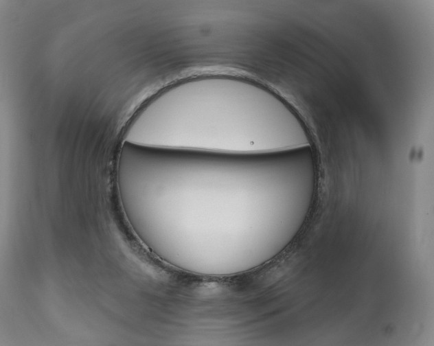 X0000111170111200907011018