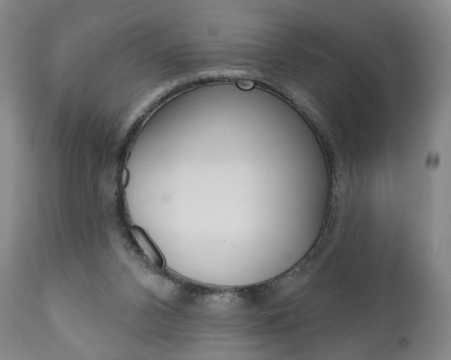 X0000111170112200907011018