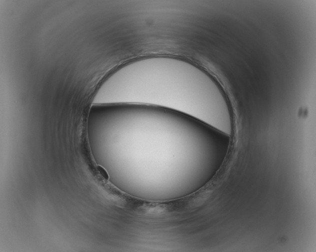 X0000111170113200907011018