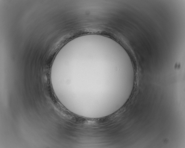 X0000111170114200907011018