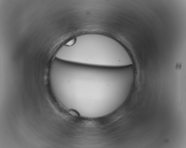 X0000111170115200907011018