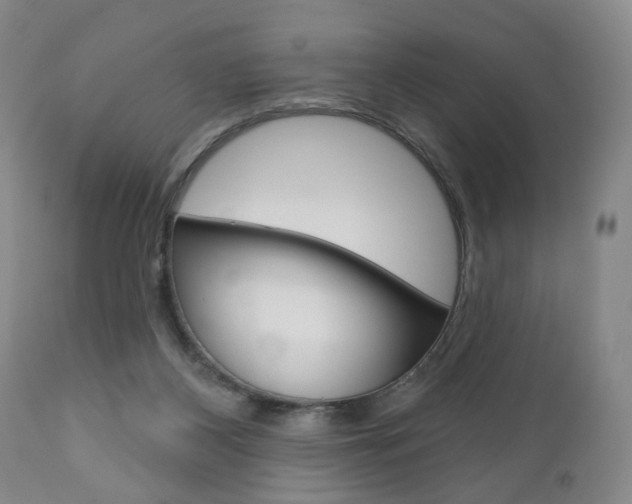 X0000111170116200907011018