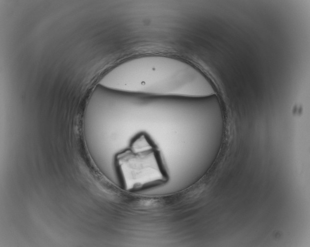 X0000111170117200907011018