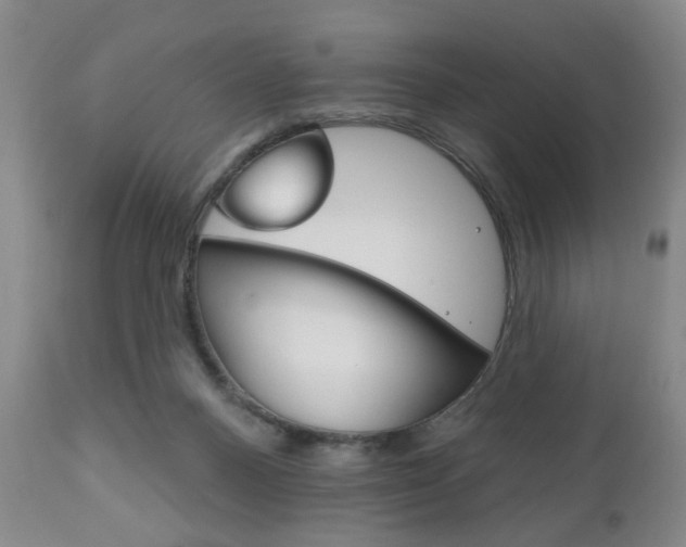 X0000111170120200907011018