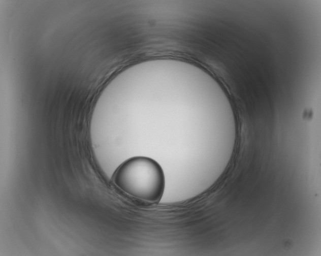 X0000111170121200907011018