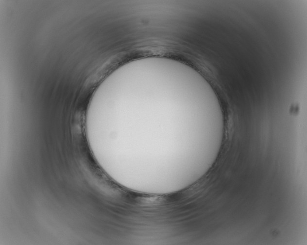 X0000111170122200907011018