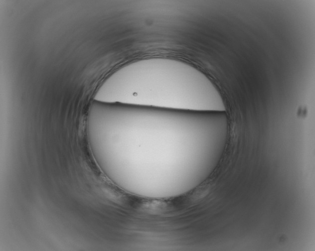 X0000111170125200907011018