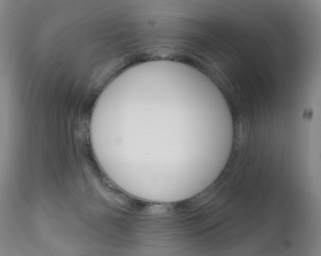 X0000111170126200907011017