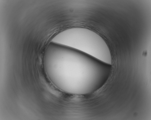 X0000111170128200907011017