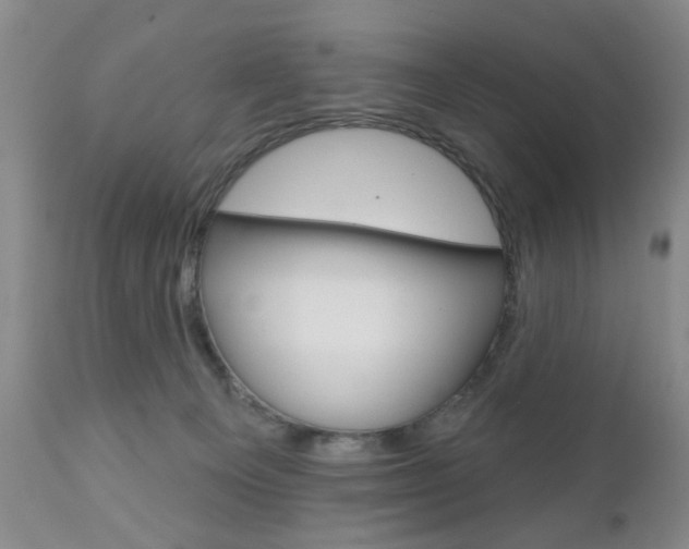 X0000111170129200907011017