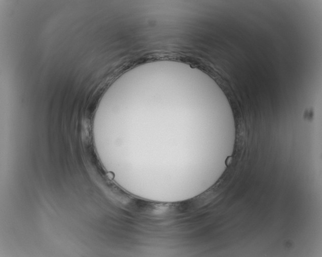 X0000111170130200907011017