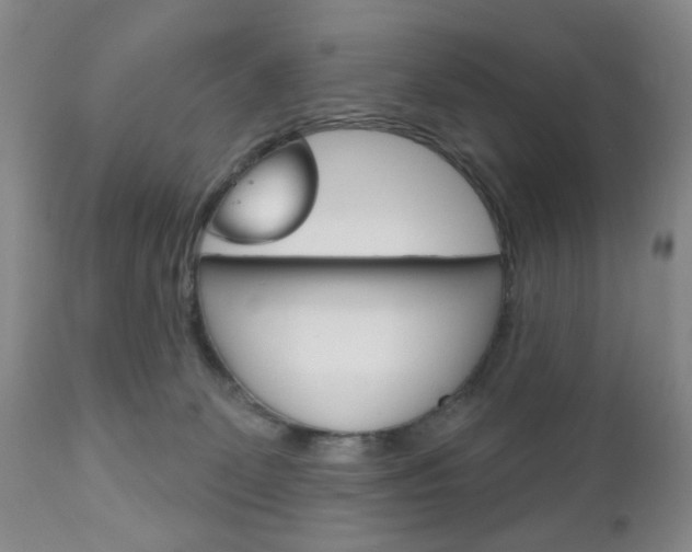 X0000111170131200907011017