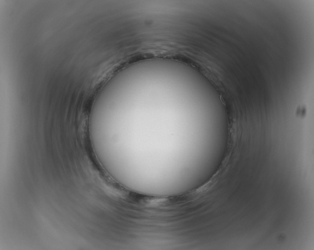 X0000111170132200907011017