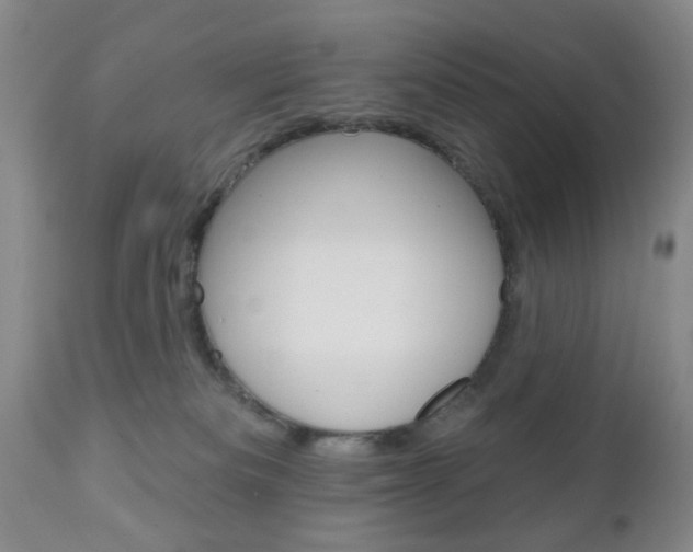 X0000111170133200907011017