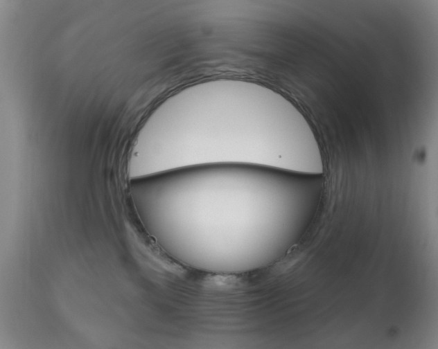 X0000111170137200907011017