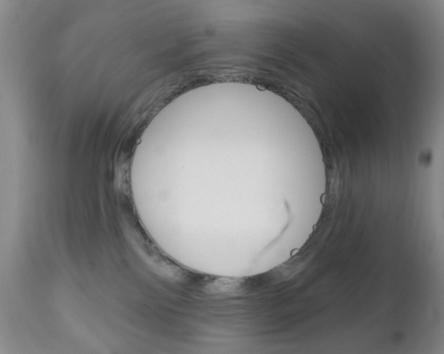 X0000111170138200907011017